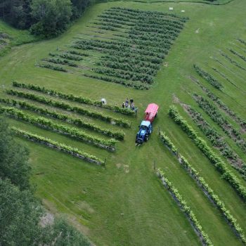 Balade en tracteur lors des événements accueillies dans salle de réception